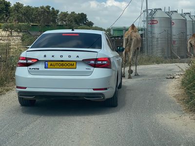 Skoda Superb 2nd hand, 2018, private hand