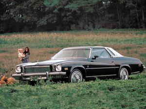 Buick Regal 1973. Carrosserie, extérieur. Coupé, 1 génération
