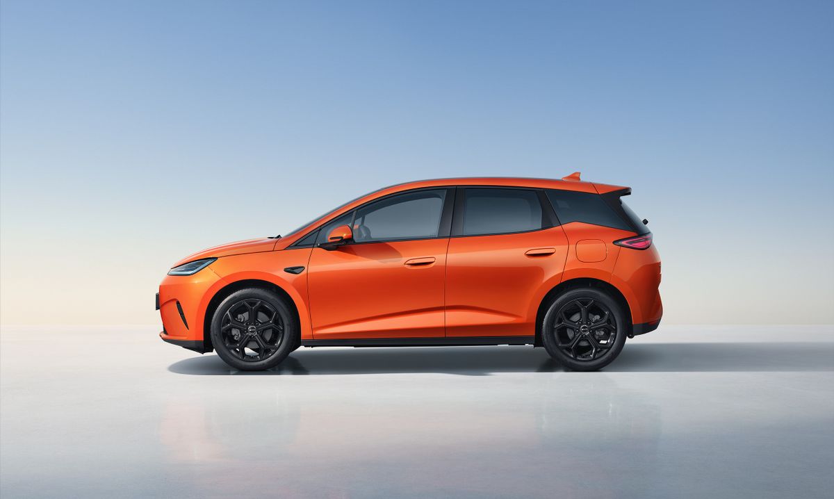 BYD Dolphin. Кузов.
