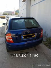 פחחות הדרום, תמונה 4