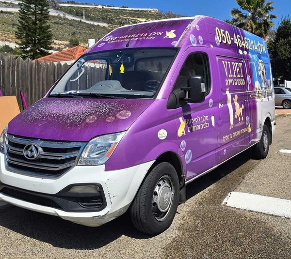 Maxus V80 с пробегом, 2019, частная рука