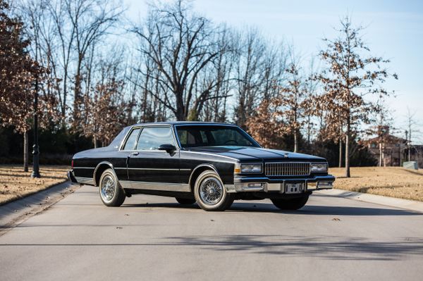 Chevrolet Caprice 1976. Carrosserie, extérieur. Coupé, 3 génération