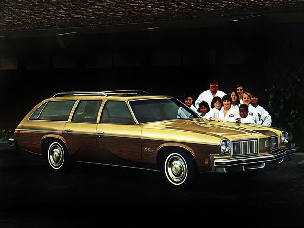 Oldsmobile Vista Cruiser 1973. Bodywork, Exterior. Estate 5-door, 3 generation
